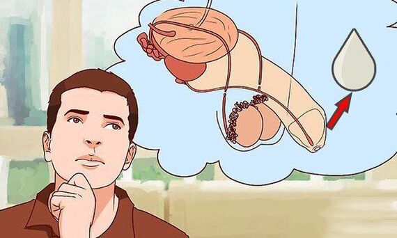 Télécharger chez les hommes quand ils sont excités