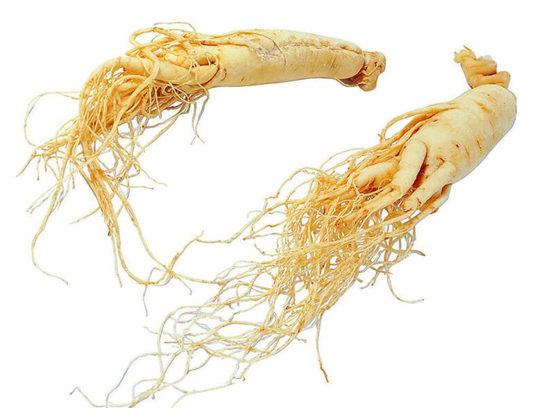 racine de ginseng pour améliorer